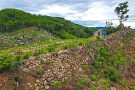 Nhận diện, định hướng bảo tồn, phát huy giá trị di tích Trường Lũy tỉnh Gia Lai