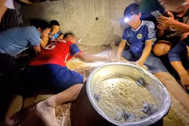 Kiểm tra ổ trứng để "giải cứu" rùa con mắc kẹt dưới cát khi vừa "chào đời". Ảnh: ĐVCC