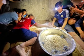 Kiểm tra ổ trứng để "giải cứu" rùa con mắc kẹt dưới cát khi vừa "chào đời". Ảnh: ĐVCC
