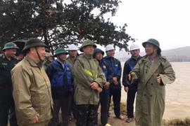 Bí thư Tỉnh ủy Thái Đại Ngọc: Quyết tâm xây dựng Cảng cá Tam Quan hiện đại và đi đầu trong chuyển đổi số