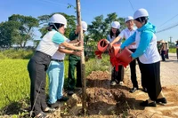 Hội Liên hiệp Phụ nữ tỉnh Gia Lai tổ chức lễ phát động hưởng ứng phong trào Tết trồng cây - Đời đời nhớ ơn Bác Hồ với sự tham gia của hàng trăm hội viên tại phường Bình Định.