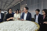 Phó Bí thư Tỉnh ủy, Chủ tịch UBND tỉnh Phạm Anh Tuấn thăm Công ty cổ phần Dâu tằm tơ Hàm Rồng và kiểm tra dự án đường Nguyễn Văn Linh.