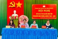 Phó Chủ tịch HĐND tỉnh Gia Lai Huỳnh Thúy Vân tiếp xúc cử tri phường Quy Nhơn Tây.