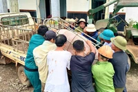 Lực lượng chức năng xã Ia Ly huy động nhân lực hỗ trợ người dân di dời khẩn cấp tài sản đến nơi an toàn.