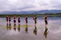 Đến cao nguyên Gia Lai vào mùa du lịch, du khách sẽ được ngắm hoa dã quỳ, hòa mình vào không gian văn hóa đặc sắc và trải nghiệm mùa vụ nông nghiệp của đồng bào nơi đây.