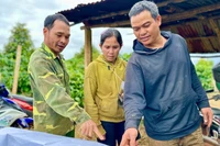 Dự án thành phần 3 cao tốc Quy Nhơn-Pleiku đảm bảo khởi công theo đúng kế hoạch trong tháng 12-2025.