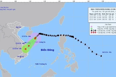 Bão số 7 giảm cường độ, di chuyển theo hướng Tây Nam, giật cấp 11