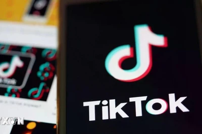 Nền tảng chia sẻ video ngắn TikTok thử nghiệm tính năng mới Footnotes