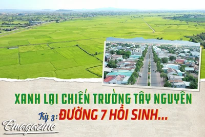 Xanh lại chiến trường Tây Nguyên Kỳ 3