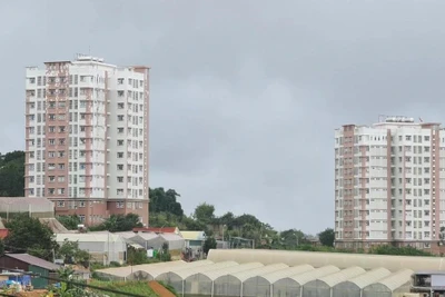 Lâm Đồng hỏa tốc kiểm tra cơ sở vật chất phục vụ sáp nhập Bình Thuận, Đắk Nông