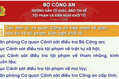 Từ 1/3, công an cấp xã tiếp nhận tin báo tội phạm và kiến nghị khởi tố