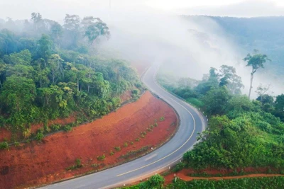 Kon Tum: Xóa điểm mờ sóng 4G trên đèo Măng Đen