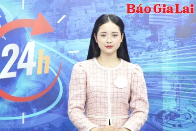 Gia Lai 24h: Giá hồ tiêu trong nước hôm nay tăng ngoạn mục