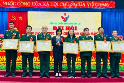 Ông Chu Xuân Toàn (thứ 3 từ trái sang) nhận bằng khen của Chủ tịch UBND tỉnh tại Đại hội thi đua yêu nước CCB gương mẫu toàn tỉnh. Ảnh: P.D