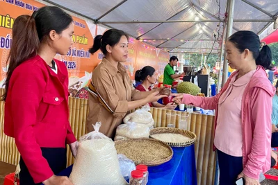 Sản phẩm vùng đồng bào dân tộc thiểu số được giới thiệu, quảng bá tại các phiên chợ, hội chợ. Ảnh: V.T