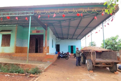 Gia đình anh Rơ Châm Nek có nguồn thu khoảng 200 triệu đồng/năm từ trồng trọt. Ảnh: T.D