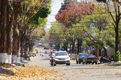 Ảnh minh họa: Phạm Quý