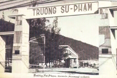 50 năm ấy biết bao nhiêu tình 