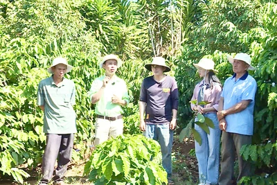 VFC đồng hành cùng nông dân phát triển nông nghiệp bền vững