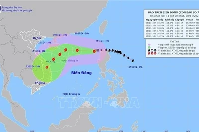 Bão số 7 di chuyển hướng Tây Tây Nam, giật cấp 17