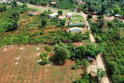 Quyết tâm hoàn thành công tác kiểm kê đất đai