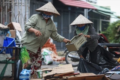 Đưa lao động phi chính thức trở thành 'tài nguyên'