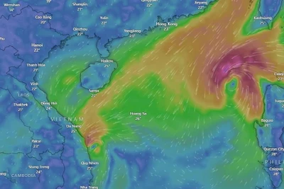 Bão số 8 và áp thấp nhiệt đới hoạt động trên Biển Đông như thế nào?