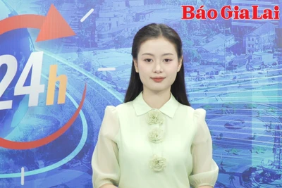 Gia Lai 24h: Cao tốc Quy Nhơn-Gia Lai được xây dựng theo hình thức đầu tư công