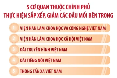 Sắp xếp, tinh gọn tổ chức bộ máy bên trong của 3 cơ quan ngang bộ và 5 cơ quan thuộc Chính phủ