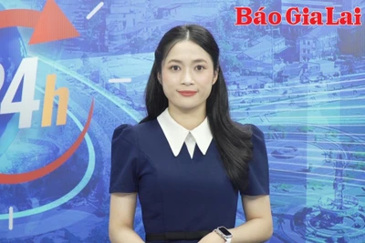 Gia Lai 24h: Gia Lai phấn đấu đến năm 2025 có 55 ngàn ha cây ăn quả