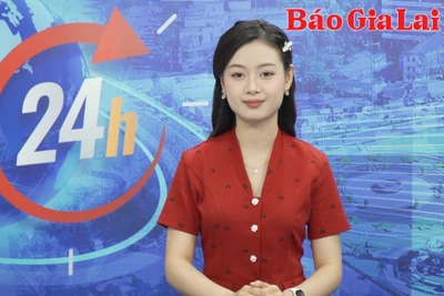 Gia Lai 24h: Ngang nhiên khai thác trái phép hàng ngàn m3 đất tại xã Ayun Hạ