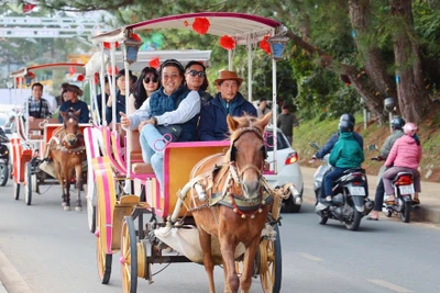 Tiếc nuối khi nhiều sản phẩm du lịch đặc trưng của Đà Lạt phải dừng hoạt động