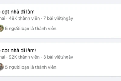 Các nhóm liên quan đến cụm từ "Thế hệ cợt nhả" thu hút hàng chục nghìn lượt tham gia. (Ảnh chụp màn hình)