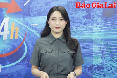 Gia Lai 24h: Khai mạc Tuần lễ Hoa dã quỳ-Núi lửa Chư Đang Ya với nhiều hoạt động hấp dẫn