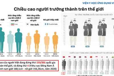 Dự báo chiều cao người Việt Nam đến năm 2030