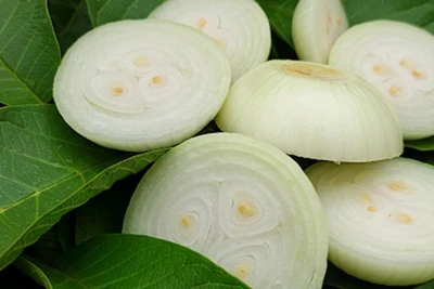 Phát hiện loại củ quả dân dã là 'khắc tinh của ung thư'