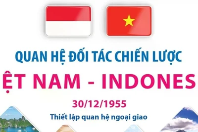 Điểm lại những dấu mốc chính trong quan hệ Việt Nam-Indonesia