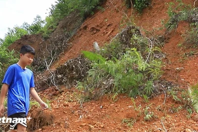 Cảnh báo lũ quét, sạt lở đất tại Kon Tum và Lâm Đồng