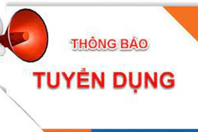 Thông báo tuyển dụng