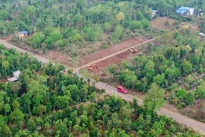 Bát nháo 'cò đất' dùng chiêu 'sốt đất ảo' ở Tây nguyên