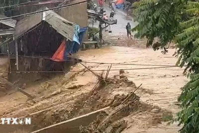 Cảnh báo lũ quét, sạt lở đất ở 10 tỉnh Trung Bộ, Tây Nguyên và Nam Bộ
