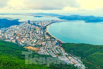 Bình Định: Phát hiện nơi ngắm trọn phố biển Quy Nhơn 'thức giấc'