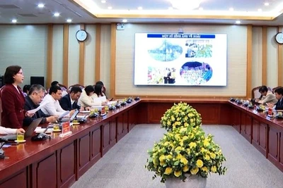 Quảng Ngãi: Dừng việc 'đi tham quan, học tập kinh nghiệm'