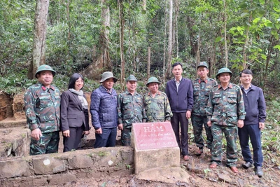 Ủy viên Ban Chấp hành Trung ương Đảng, Bí thư Tỉnh ủy, Chủ tịch HĐND tỉnh Hồ Văn Niên (thứ 3 từ trái sang) và các đồng chí trong đoàn công tác tham quan điểm di tích thuộc Khu căn cứ chiến đấu của Tỉnh đội tại xã Krong, huyện Kbang. Ảnh: Đ.T