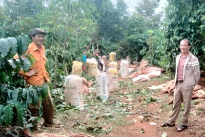 Ông Hoàng Xuân Thanh (bìa phải)-Phó Chủ nhiệm CLB “Nông dân với pháp luật” xã Ia Phìn (huyện Chư Prông) phổ biến các quy định pháp luật cho nông dân. Ảnh: H.M