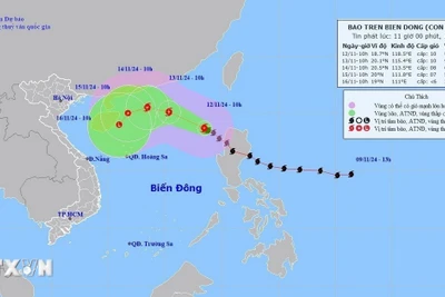 Bão số 8 di chuyển theo hướng Tây Tây Bắc, gió giật cấp 12 ở Bắc Biển Đông