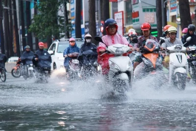 Chiều nay, Tây Nguyên và Nam bộ có mưa lớn