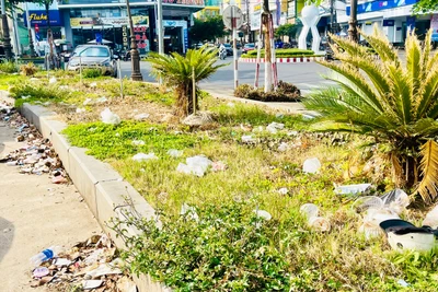 Để phố núi vẫn là “Cao nguyên xanh vì sức khỏe”