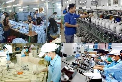 Đường băng rộng dài cho kinh tế tư nhân