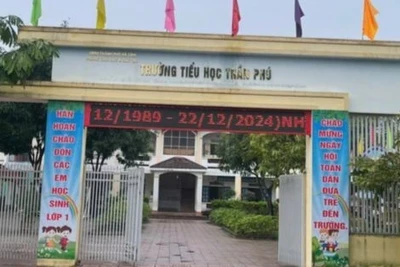 Dạy thêm tại nhà cho học sinh lớp 1, cô giáo bị kỷ luật